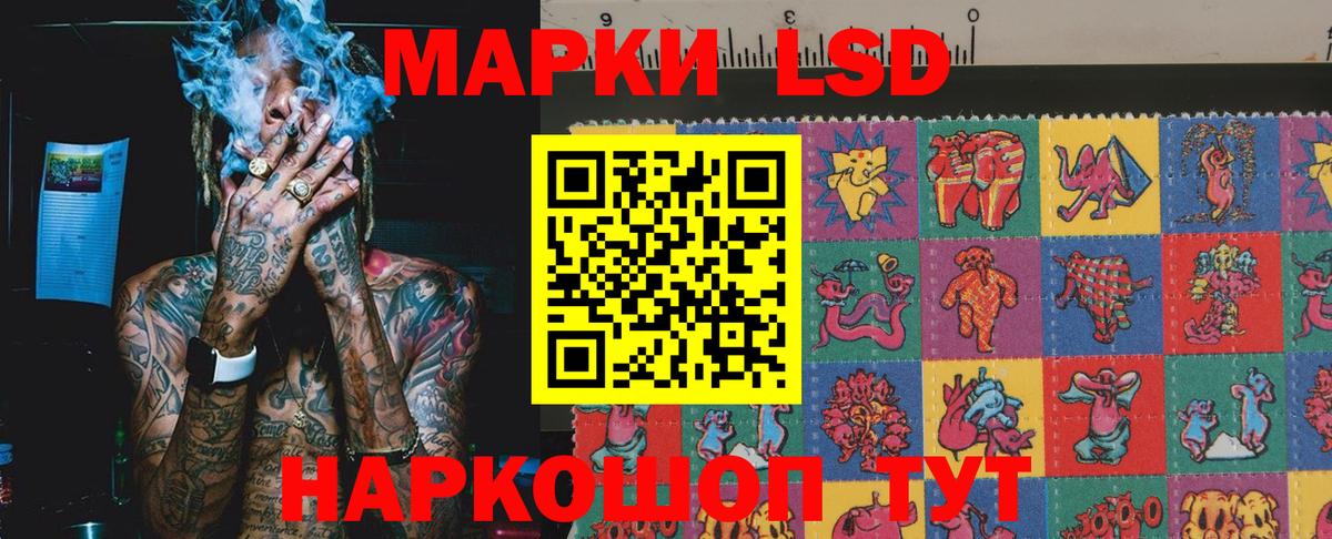 МЕФ Янаул