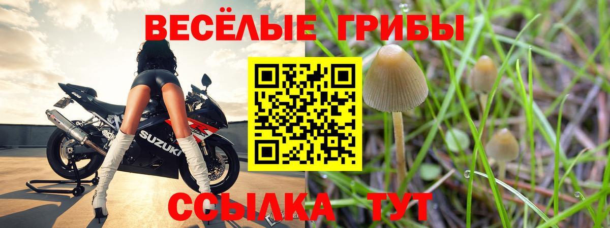купить  цена  Псилоцибиновые грибы Magic Shrooms  Вход с VPN  Янаул 